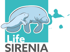 Life Sirenia